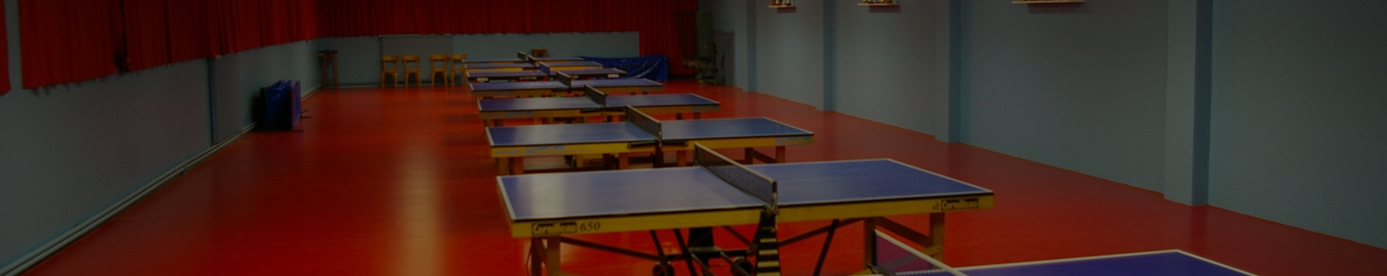Tennis de Table